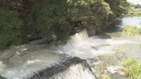 満濃池で初夏の風物詩「ゆる抜き」　下流の田畑に水を供給　香川・まんのう町