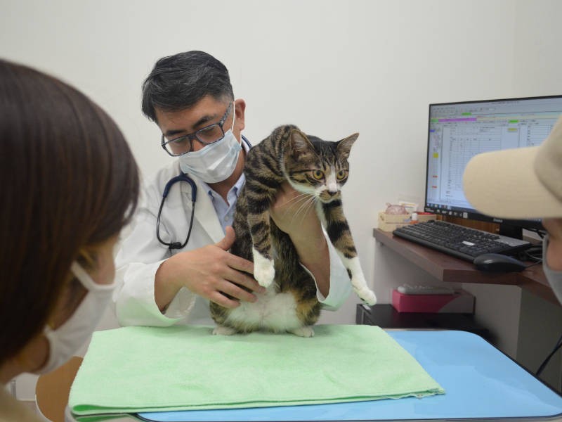 シコリなどを早期発見するためにも、日頃からおなかを触る習慣をつけるといいそう