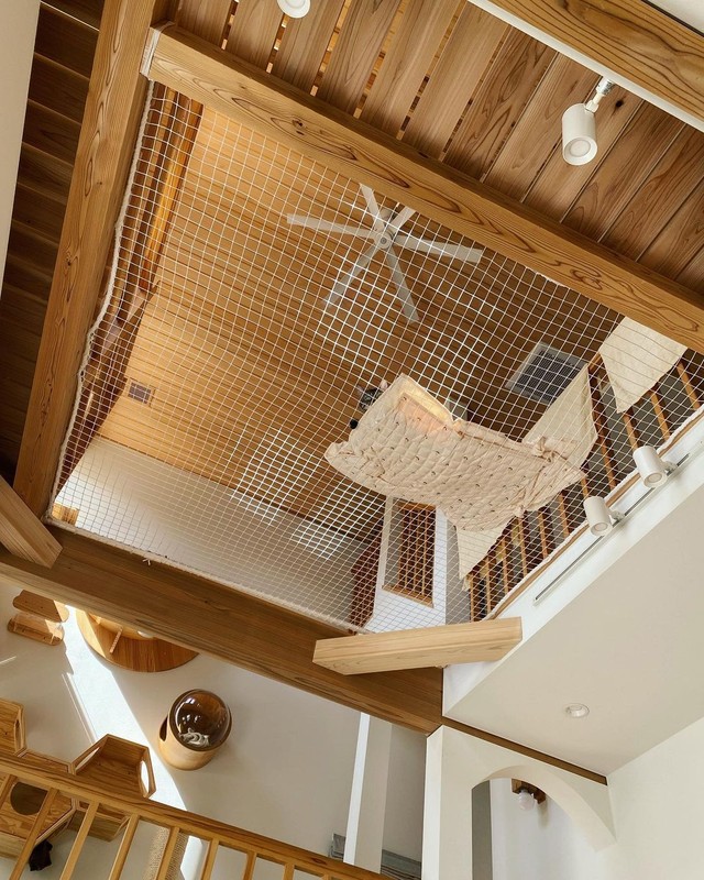 家の中は全館猫仕様