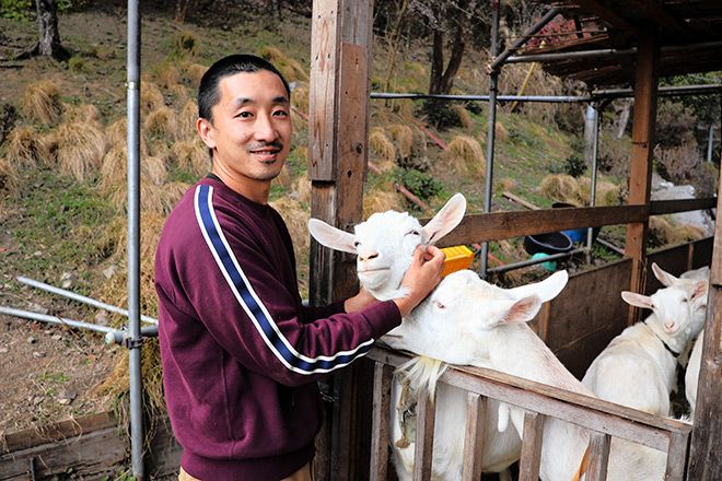 Reluctant farmer in Tokyo wins global honors for goat milk cheese