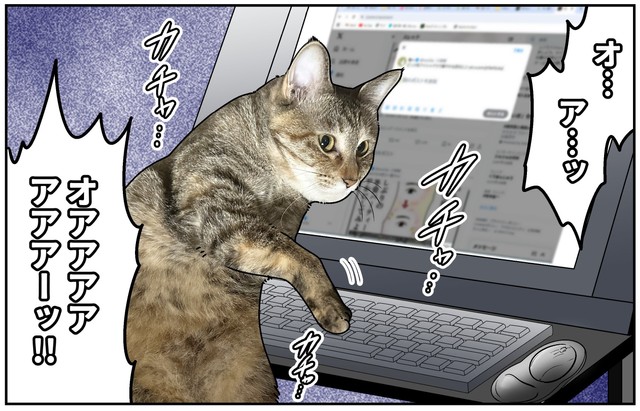 パソコンのキーボードを勝手に押してしまうち～ちゃん　（も～さんの提供）