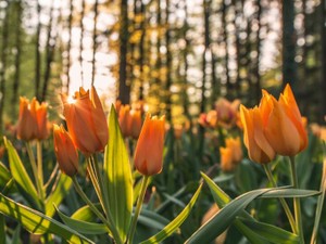 「気持ちの表れがメイクなんだよ」と母の言葉で、メイクの本質を知る