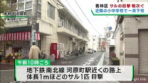 仙台・若林区でサルの目撃が相次ぐ　近隣の小中学校に一斉下校を呼び掛け