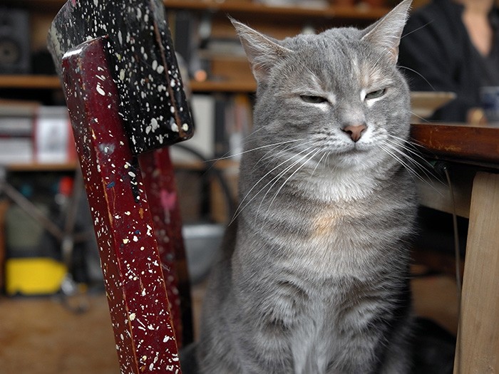 眠くなってきちゃったね