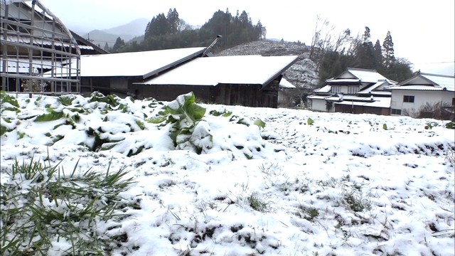 岡山県北で冷え込み…新見ではうっすら雪　津山で初雪観測