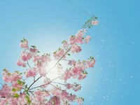 将来息子ができたらピンクを好きになってほしい。そう思う自分がいやだ