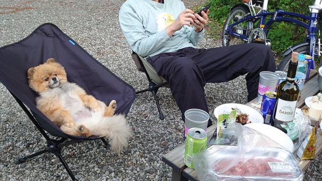 ごく自然にバーベキューに参加するポチちゃん（提供：ぴよりん🐣ｵﾌﾞｼﾞｮｲﾄｲ）