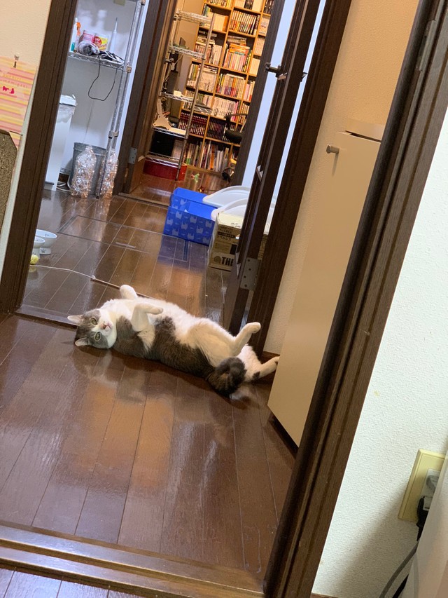 ぼくも・・・落ちていました