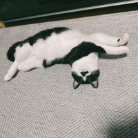 4時に起こされても可愛いと思える