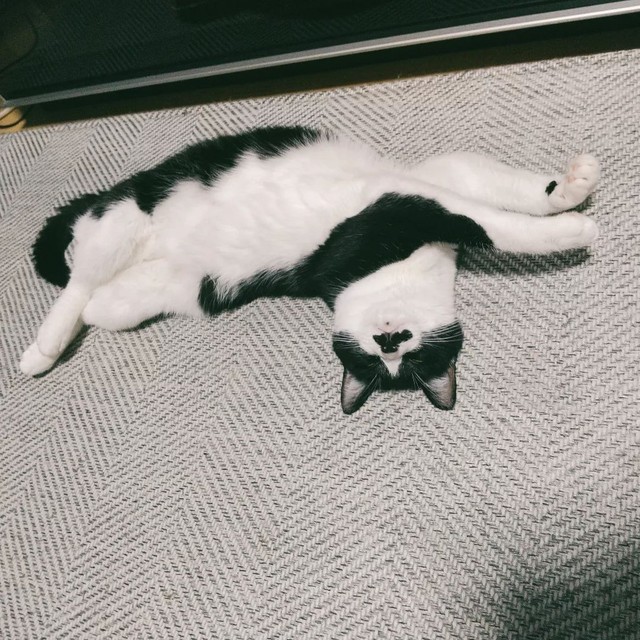 4時に起こされても可愛いと思える