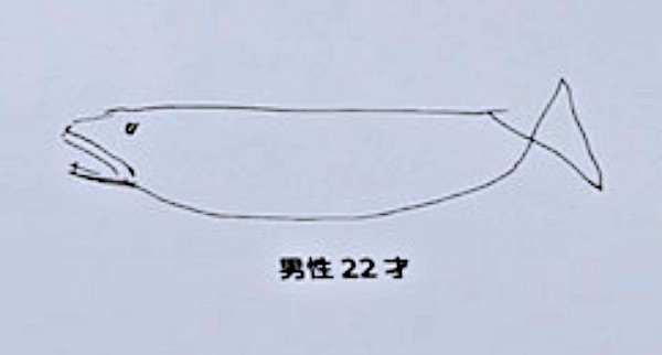 「男性 22才」が描いたアロワナ（画像提供：すこやかむいむいさん）