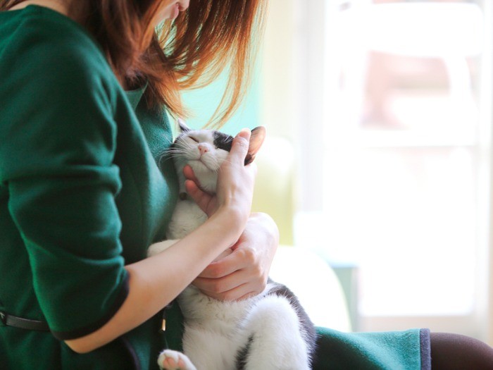 こちらはジャスミン。