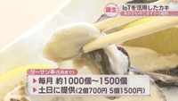 IoT活用して養殖したカキの販売スタート