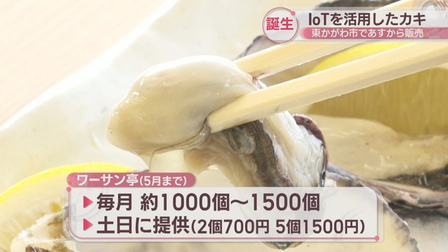 IoT活用して養殖したカキの販売スタート