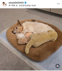 照英インスタグラム＠shoei040404より