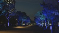 高松市サンポートのライトアップ