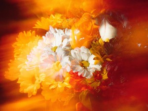 「責任感が強い」という私の長所は、いつしか短所へと移り変わった