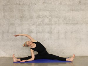 運動を始めた夏、腹筋が割れるのとコロナの終息､どちらが先だろう