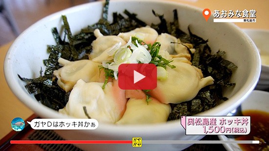 #373東松島 おおみな 食堂