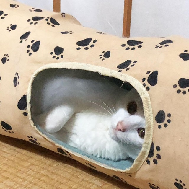 きょうはもう寝るよ～