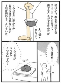【漫画】『ネコと暮らした9日間』24（イゴカオリさん提供）