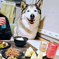 家族で食卓を囲むハウルくん（画像提供：ゆきまるさん）