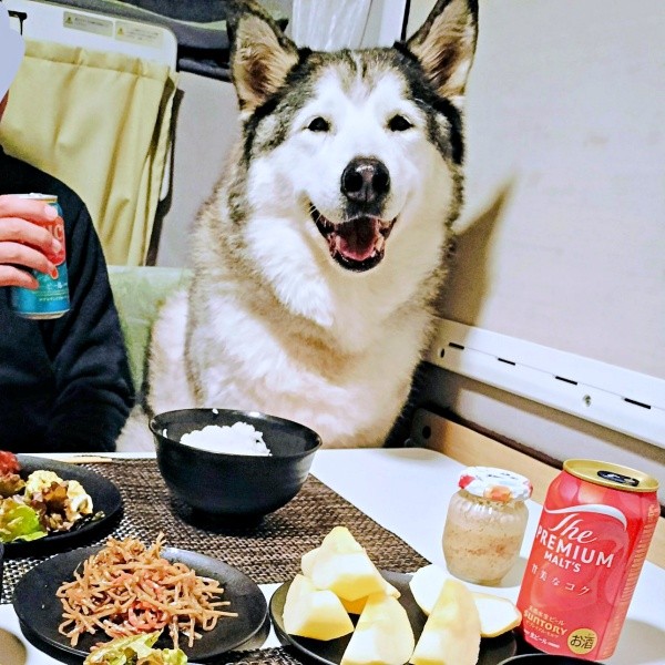 家族で食卓を囲むハウルくん（画像提供：ゆきまるさん）