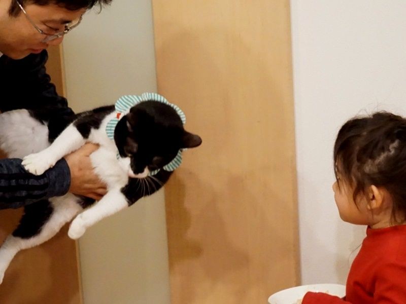 「お母さんがわからなくなったようだ」「私がおしえたげるわ」