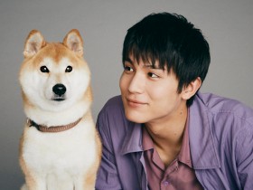 中川大志さん「どんなに疲れていても犬がいると頑張れる」　映画『犬部！』を語る