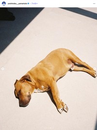 ドジャースの山本由伸選手の公式インスタグラムから