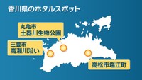 香川県のホタルスポット