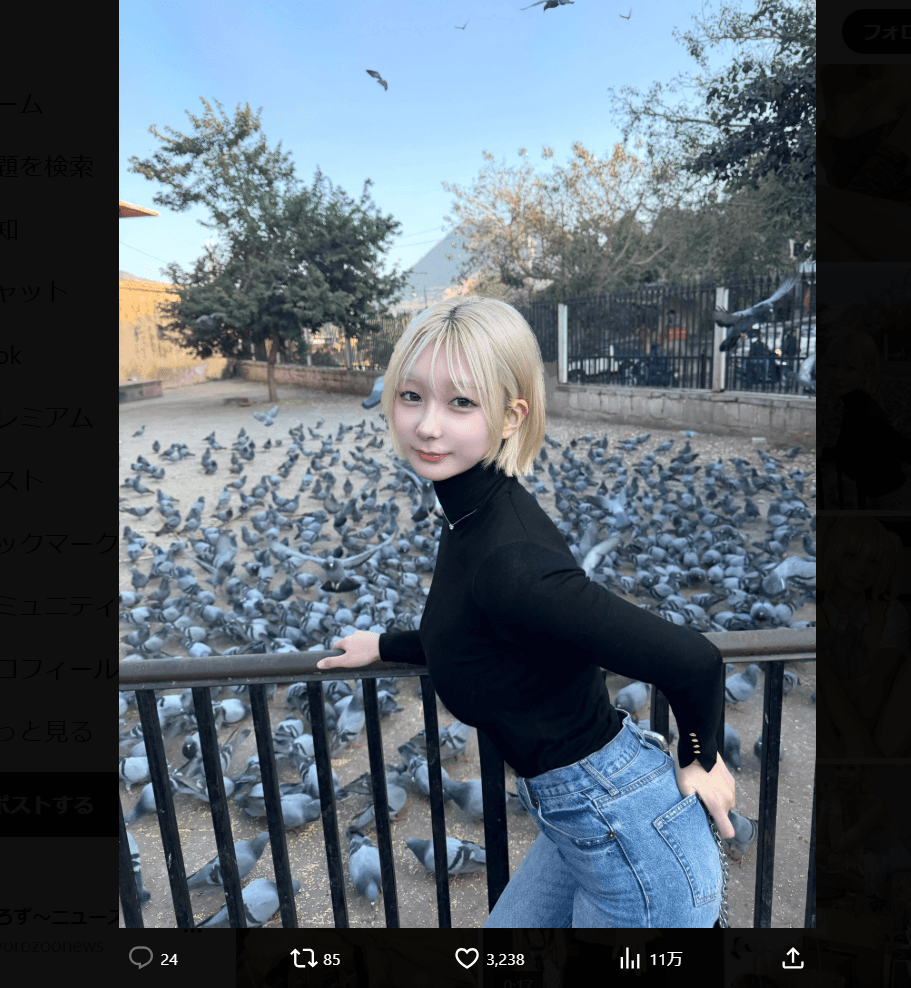 レイラのX（@mishirudo）より