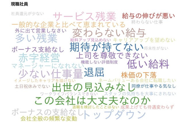 現職社員は、待遇面の不満・会社経営への不安が表出（提供画像）