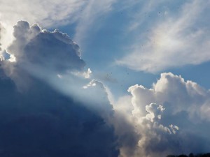 この大学に入り、BTSにハマり、牡蠣にあたったから出会えた恋人