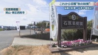 石原果樹園　岡山市東区西隆寺
