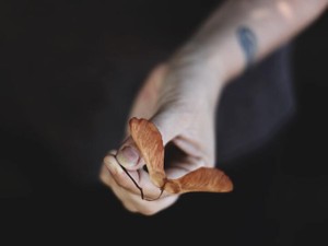 「接触」を嫌う私は、孫を期待する母の言葉に泣くことしかできない