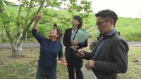 「岡山甘栗」の栽培農家を訪れた国の職員