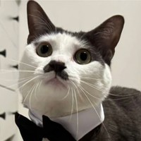 まるで英国紳士！（提供：パッツン前髪のセロイと弟プランスさん）※一部トリミング
