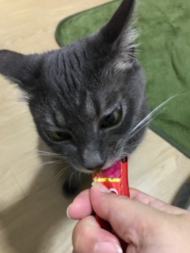 おやつを食べる時も必死さ