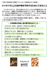 （農林水産省「ジャガイモによる食中毒を予防するために」から引用）