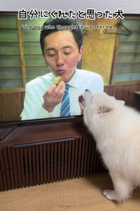 半分くれた？ペロペロ……（「こはく」さん提供、Instagramよりキャプチャ撮影）