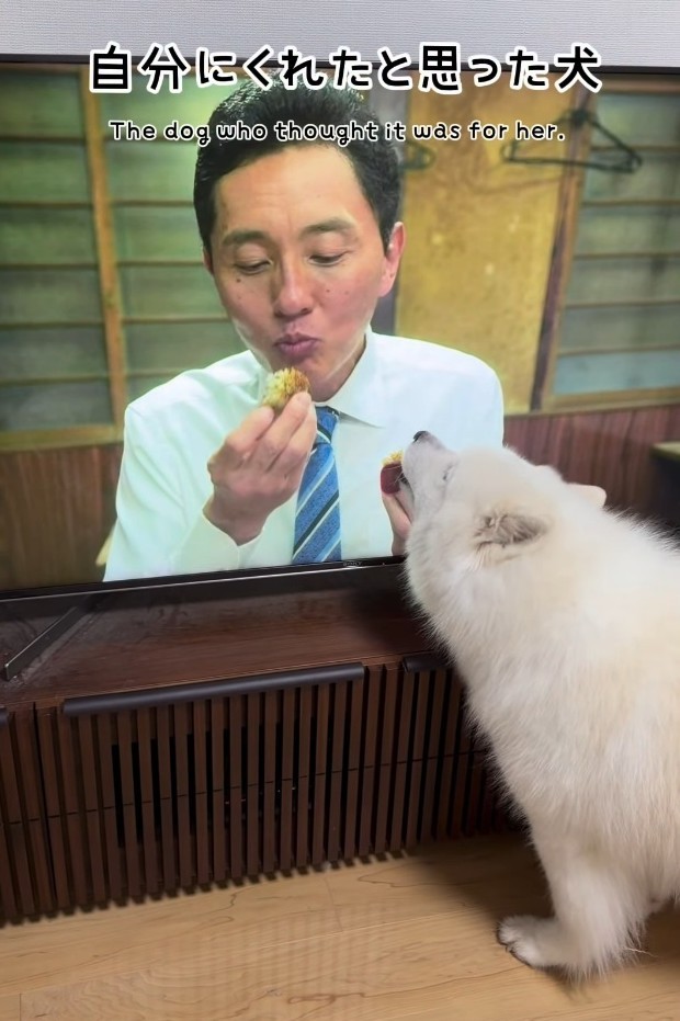 半分くれた？ペロペロ……（「こはく」さん提供、Instagramよりキャプチャ撮影）