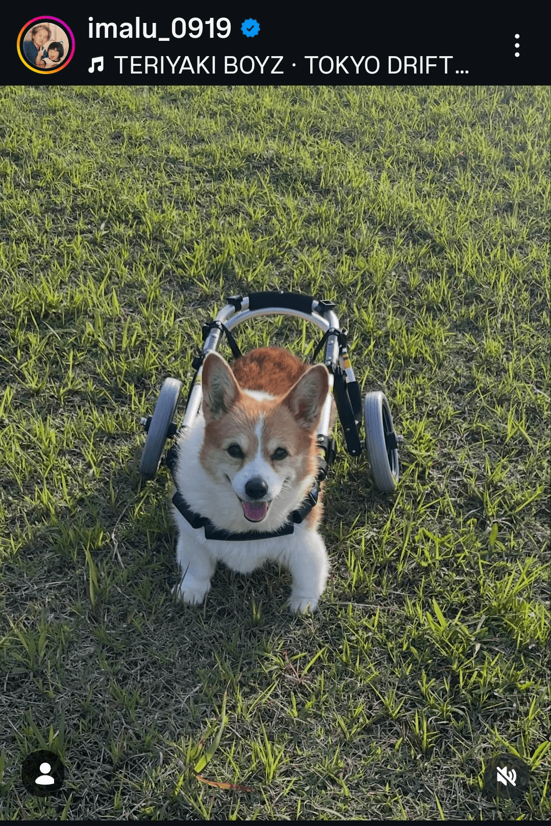 IMALUのインスタグラム@imalu_0919より