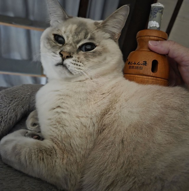 慢性の結膜炎で、いつも涙目だったのですが、お灸で症状が軽くなりました。