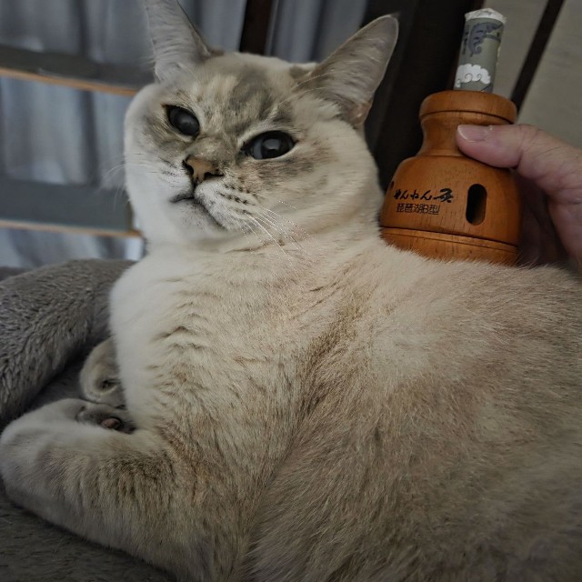 慢性の結膜炎で、いつも涙目だったのですが、お灸で症状が軽くなりました。