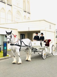 ブライダルでのワンシーン、あなたもいかが？