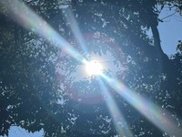 高梁37.9℃　高松37.6℃など　今年最高の気温が続出　観測史上最高の地点も　岡山・香川