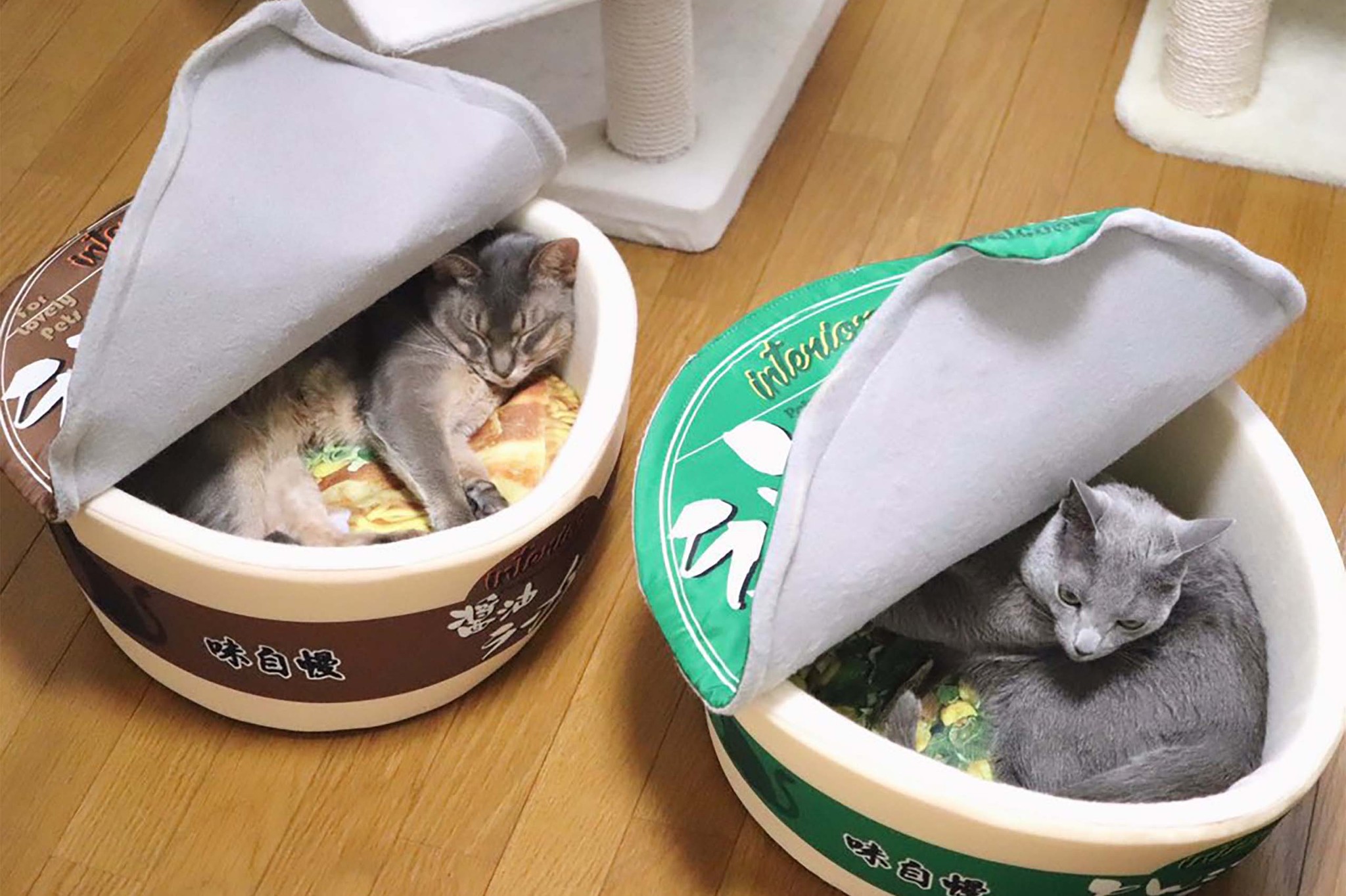 泡麺犬窩柴犬網紅と同じ種類の泡麺猫窩敷式うどんカップ麺INS風ペット0 チャーシュー？いやメンマかな？ カップ麺の具になったネコさん