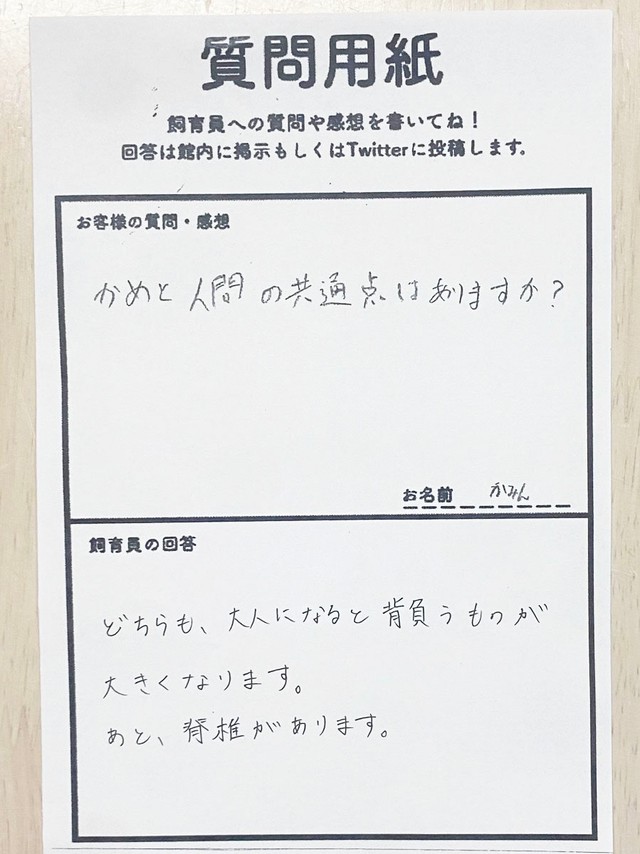 「うまい！！」と思わず膝を打つ回答！（画像提供：道の駅ウミガメ公園【公式】）
