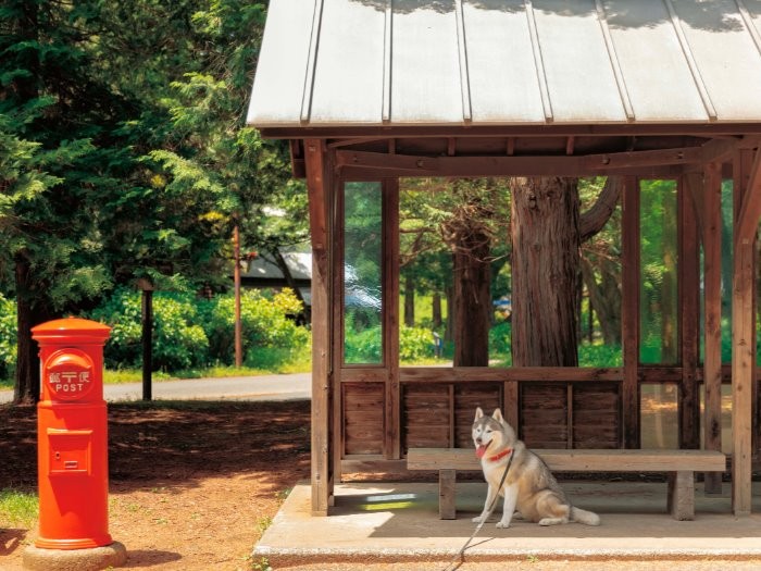 昭和の風景も似会います　（インプレス提供）